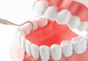 歯科医療事務の基礎